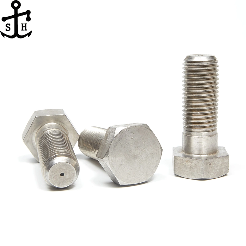 Stainless Steel Bolts/Hexagon Bolt and Nuts/Socket Bolt/Extra Long Bolt/U Bolt/Hex Flange Bolt/Allen Bolt /Carriage Bolt/Stud Bolts DIN933/DIN931/DIN6921/DIN912